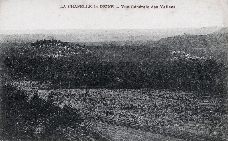 D77 - LA CHAPELLE LA REINE - VUE GENERALE DES VALLEES - La Chapelle La Reine