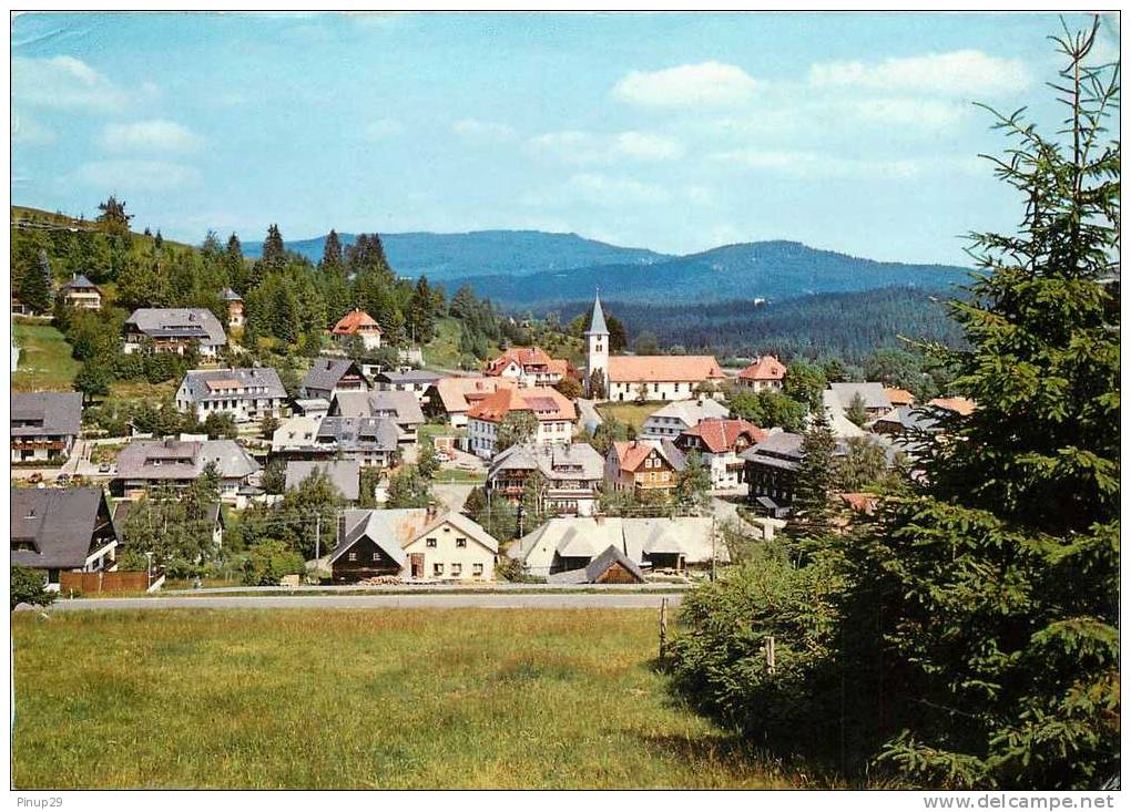 ALTGLASCHUTTEN  AM  FELDBERG - Hersbruck