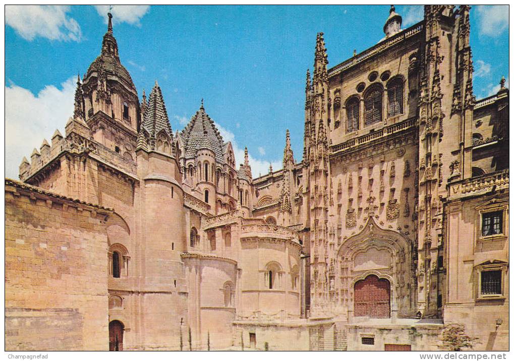 SALAMANCA, CATEDRAL VIEJA - Salamanca