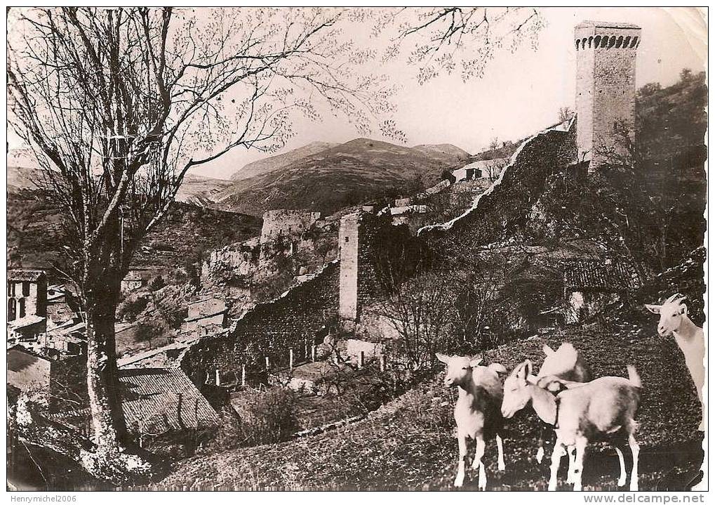 Alpes De Haute Provence - Castellane Sur La Rloute Napoléon , Chèvres Devant Les Remparts - Castellane