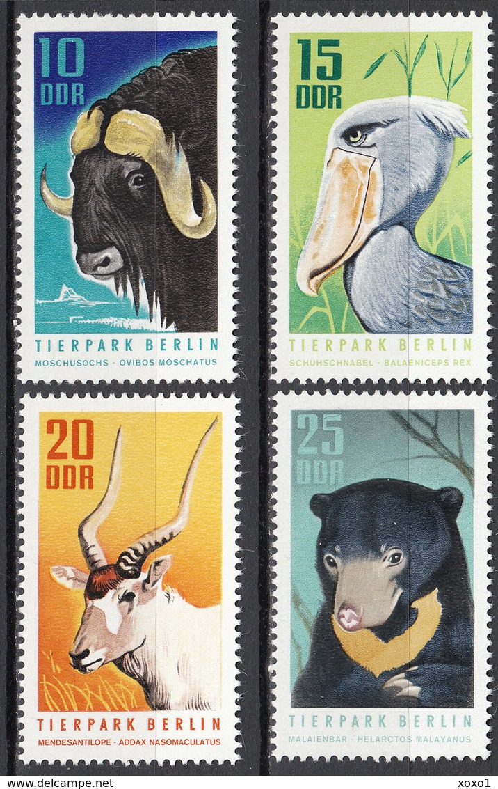 GERMANY DDR 1970 MiNr. 1617 - 1620  Deutschland Zoo Fauna Birds Shoebill Bears 4v MNH** 8,00 € - Orsi