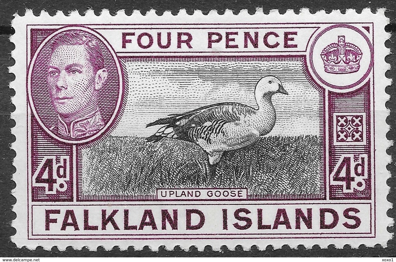 Falkland Islands 1942 MiNr. 85 Falklandinseln Birds Magellan Goose George VI 1v MLH* 2.40 € - Gänsevögel