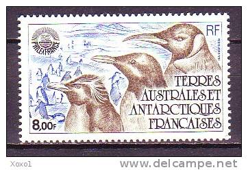 French Antarctica 1982 Birds 1v MNH** - Pingouins & Manchots