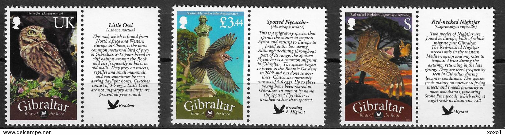 Gibraltar 2012 MiNr. 1481 - 1483 Nightjar, Flycatcher, Owls, Birds 3v MNH**. 12,50 € - Gufi E Civette