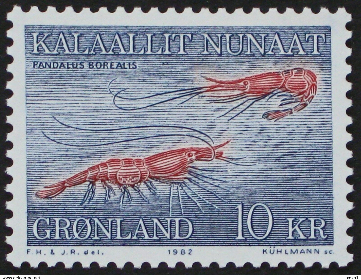 Greenland 1982 MiNr. 133 Dänemark Grönland Marine Life Caridean Shrimps 1v MNH**  3,00 € - Crustacés