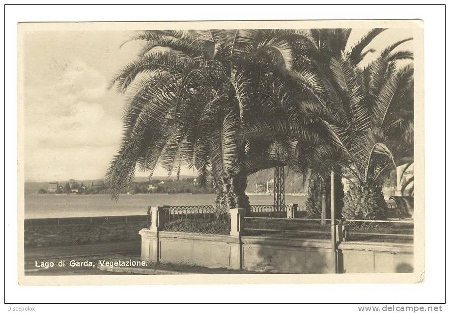 C731 Lago Di Garda - Vegetazione - Old Mini Card / Viaggiata 1939 - Altri & Non Classificati