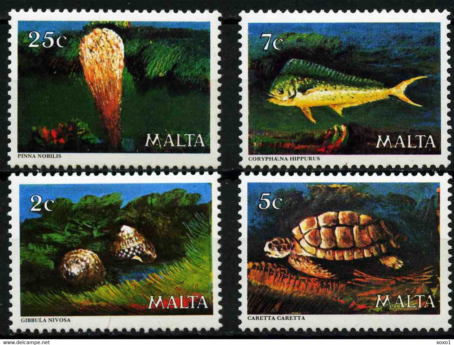 Malta 1979 MiNr. 599 - 602 Marine Life Fishes Turtles Shells 4v  MNH**  4,00 € - Tortues