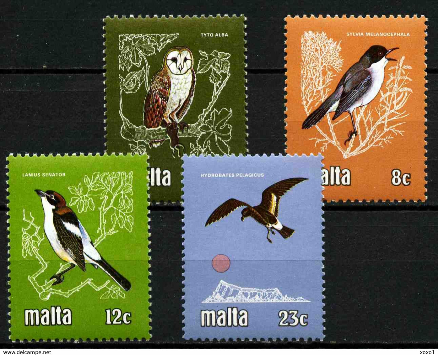 Malta 1981 MiNr. 624 - 627 Birds Owls 4v MNH**  4,00 € - Uilen