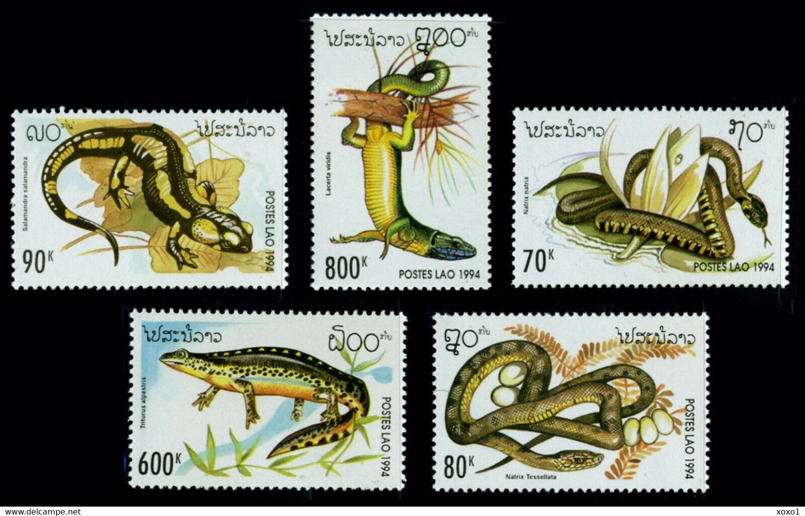 Laos 1994 MiNr. 1414 - 1419 Reptiles & Amphibians   Snakes 5v MNH** 5,50 € - Serpenti