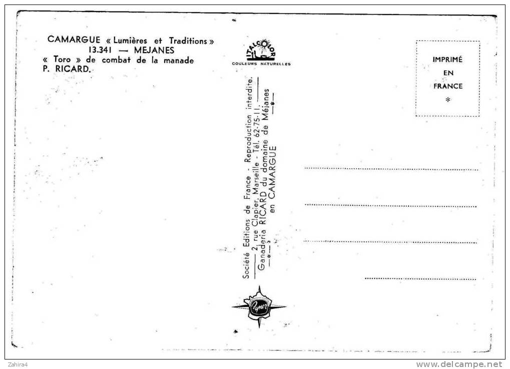 MEJANES  - " Toro" De Combat De La Manades P. Ricard   -  Camargue - Tauri