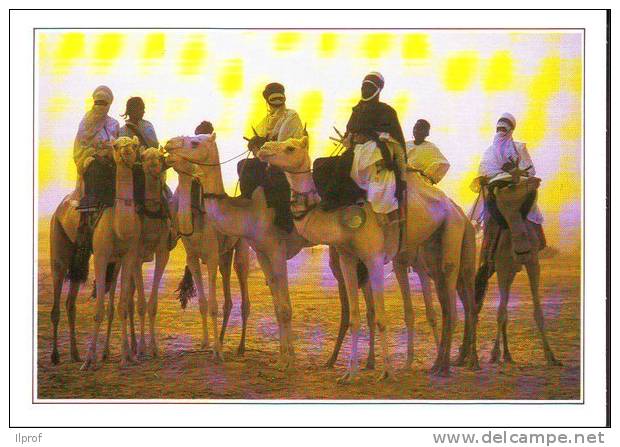 Tuareg E Cammelli, Niger - Níger