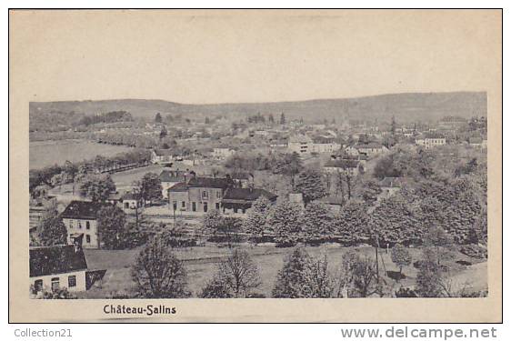 CHATEAU SALINS ... LIGNE DE CHEMIN DE FER ... GARE AU SECOND PLAN - Chateau Salins