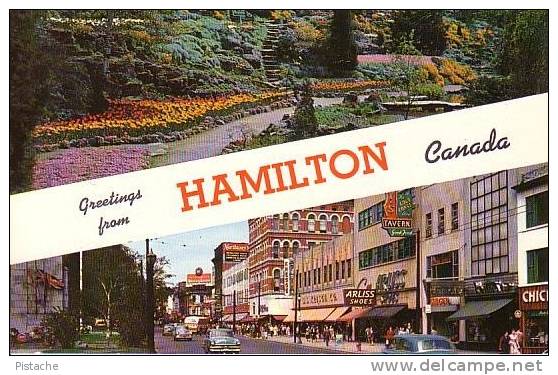 Greetings From Hamilton Ontario Canada - Rue King Street Cars Voitures Gardens - Neuve - 2 Scans - Hamilton