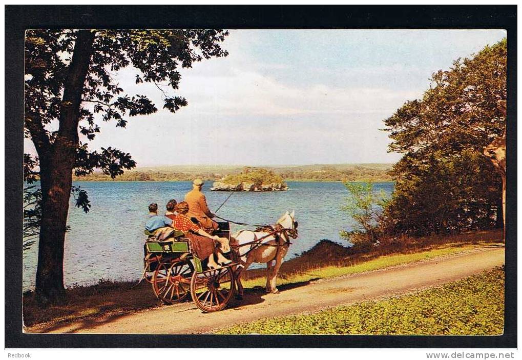 RB 667 - Postcard Jaunting Car Killarney County Kerry Ireland Eire - Kerry