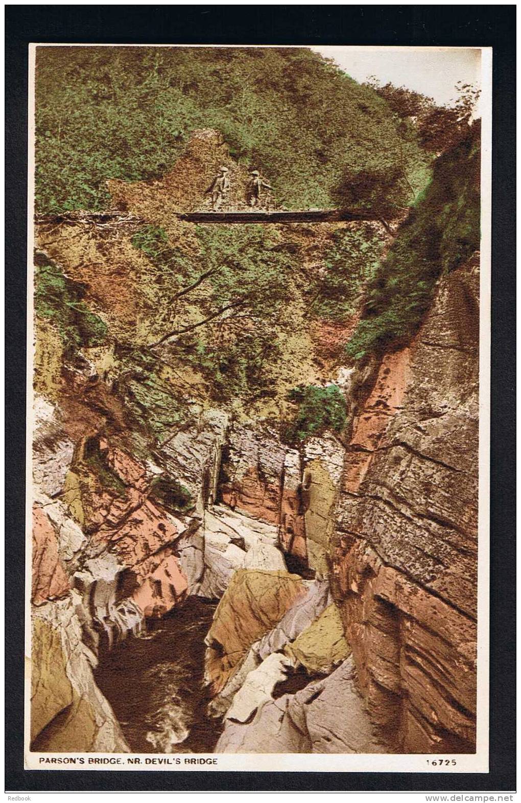 RB 667 - Postcard Parson's Bridge Near Devil's Bridge Cardinganshire Wales - Cardiganshire