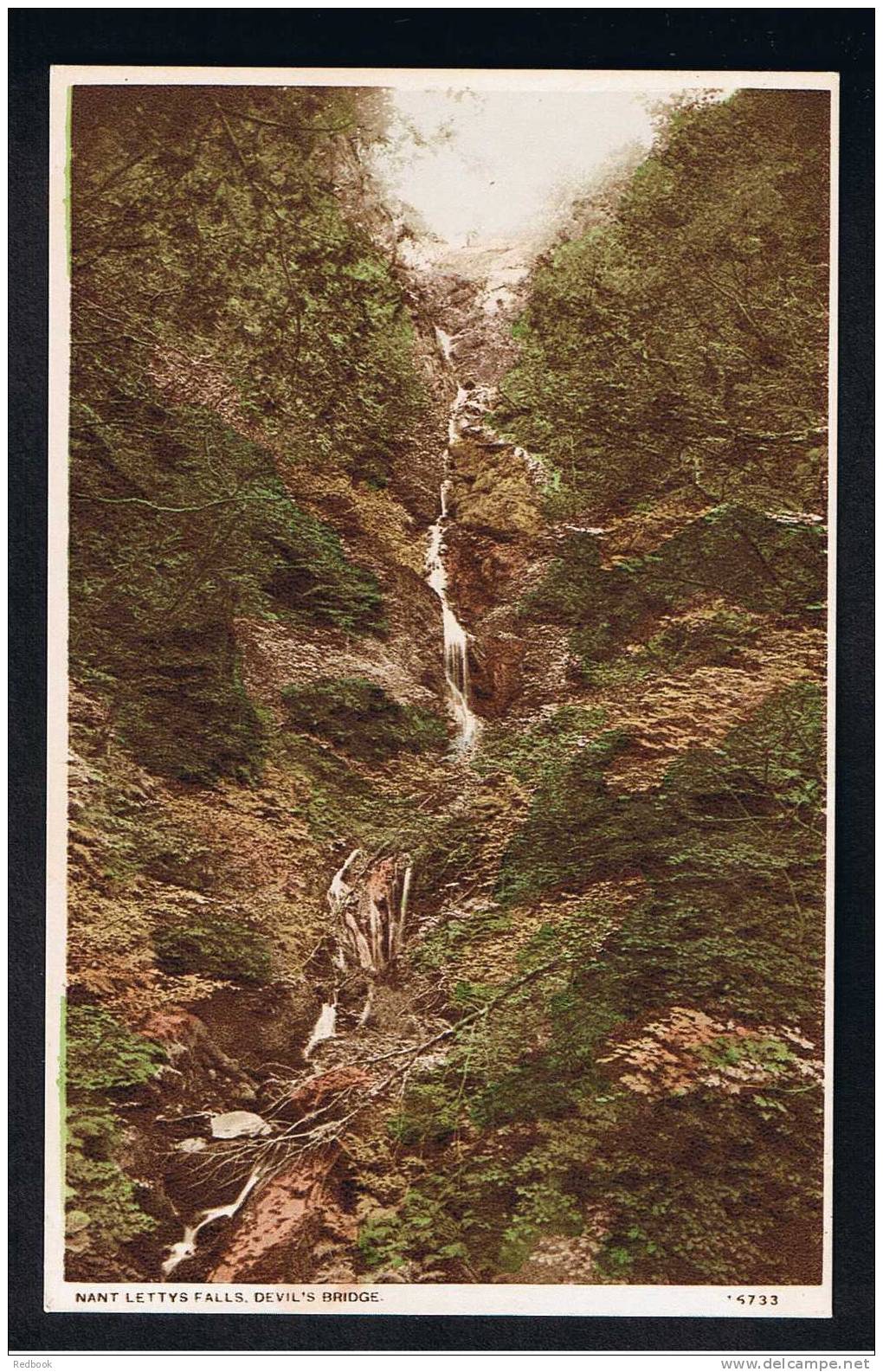 RB 667 - Postcard Nant Lettys Falls Devil's Bridge Cardinganshire Wales - Cardiganshire