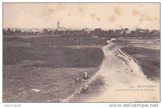 MORBIHAN QUESTEMBERT PANORAMA VUE PRISE DU CALVAIRE Avec Plie Milieu - Questembert