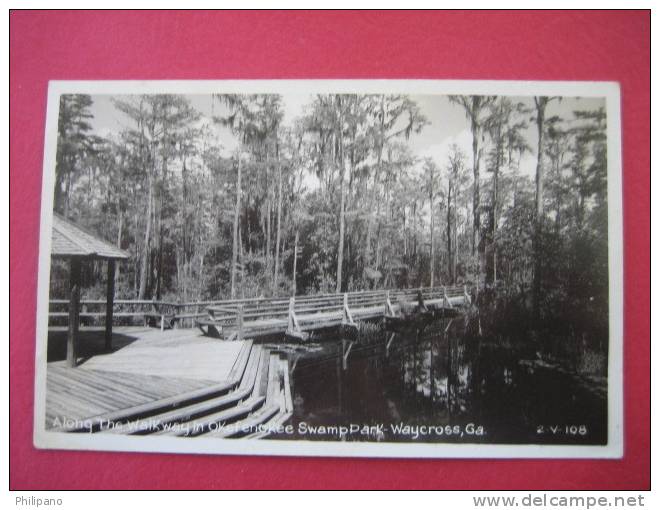 Real Photo   Along The Walkway Okefenokee Swamp Park Waycross Ga  EKC Box-------(ref 122) - Albany