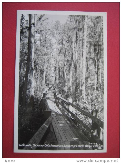 Real Photo   Walkway Scene  Okefenokee Swamp Park Waycross Ga   Kodak   Box-------(ref 122) - Albany