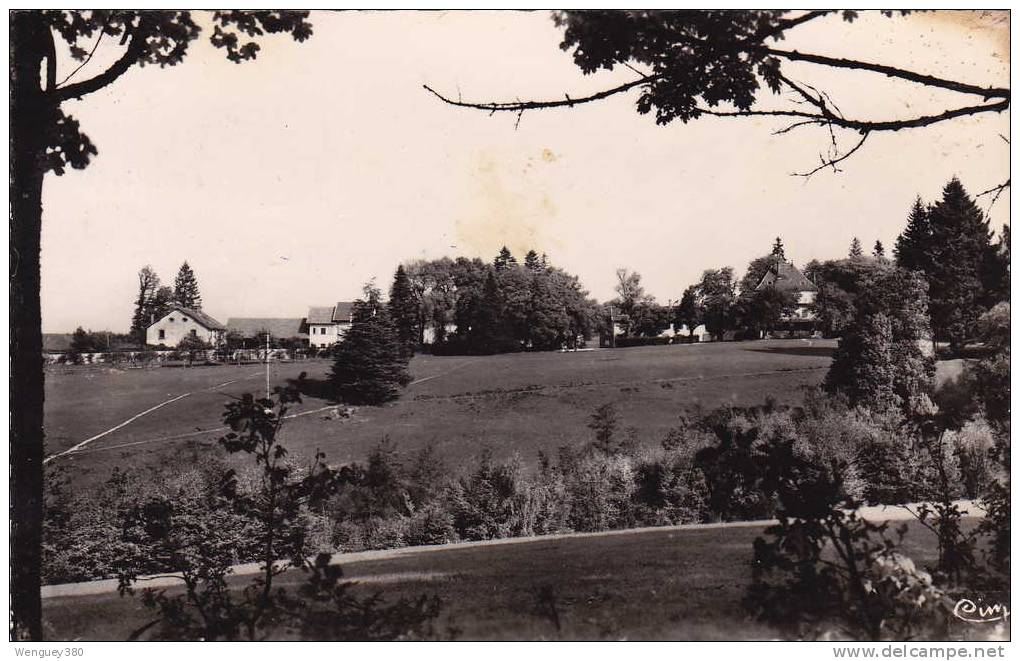 38 ROYBON  Colonie De Vacances Du Comité D'Entreprise Merlin-Gerin  Vue Panoramique - Roybon