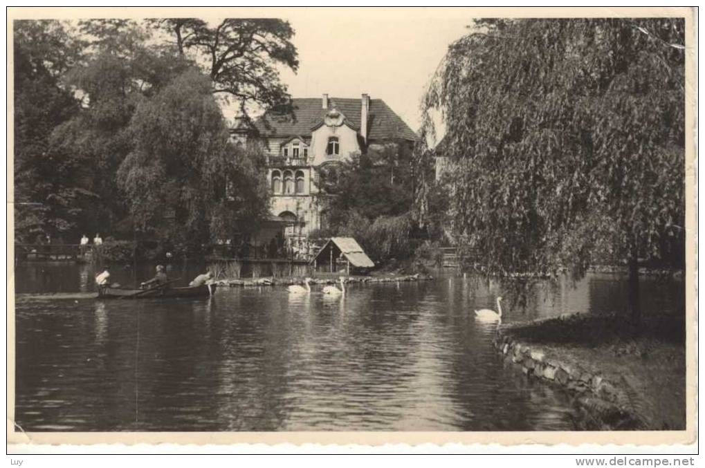 Villa Am Wasser, Stempel Von Brotterode, Schwan, Boot, Swan, Boat; Marke DDR - Schmalkalden