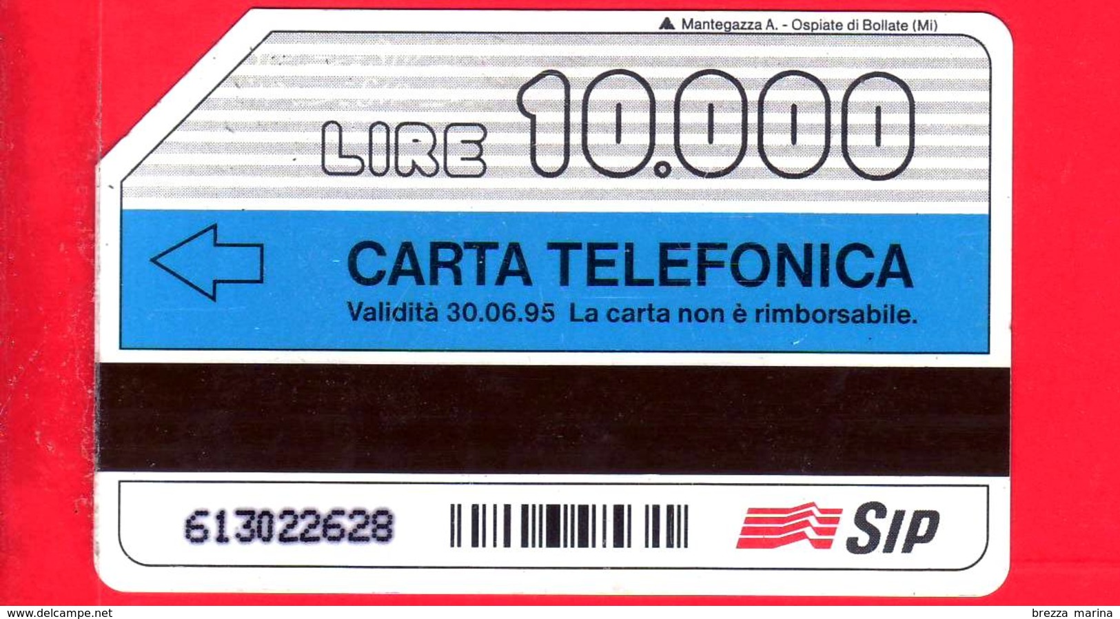 ITALIA - Scheda Telefonica - SIP - Usata - Centri Linguistici - C&C 2313 - Golden 271 - Publiques Figurées Ordinaires