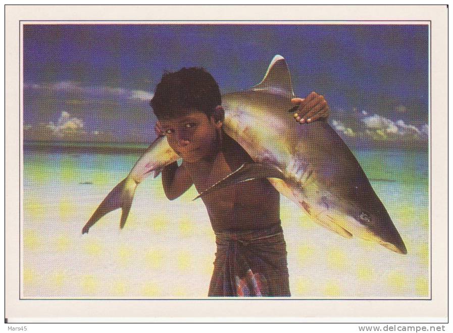 MALDIVES,Islands,Océan Indien,Un Jeune Musulman Porte Un Requin à Pointe Blanche - Maldiven
