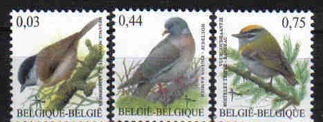 Belgie   2005  3389/3391   Vogels  *** & - - 1985-.. Pájaros (Buzin)