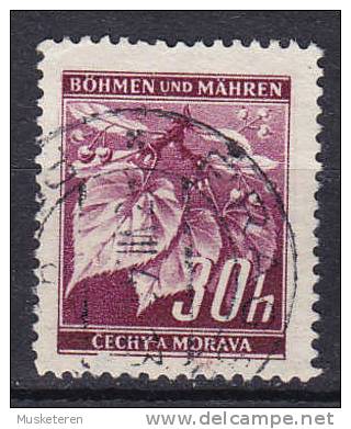 Böhmen & Mähren 1939 Mi. 24    30 H Lindenzweig Mit Lindenfrüchten - Usados