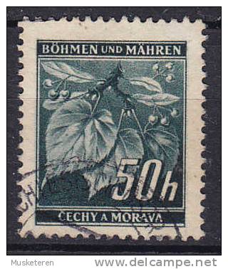 Böhmen & Mähren 1939 Mi. 26    50 H Lindenzweig Mit Lindenfrüchten - Gebraucht