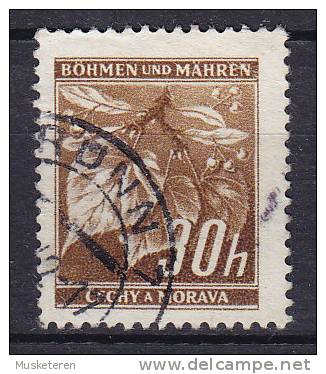 Böhmen & Mähren 1939 Mi. 24    30 H Lindenzweig Mit Lindenfrüchten - Usados