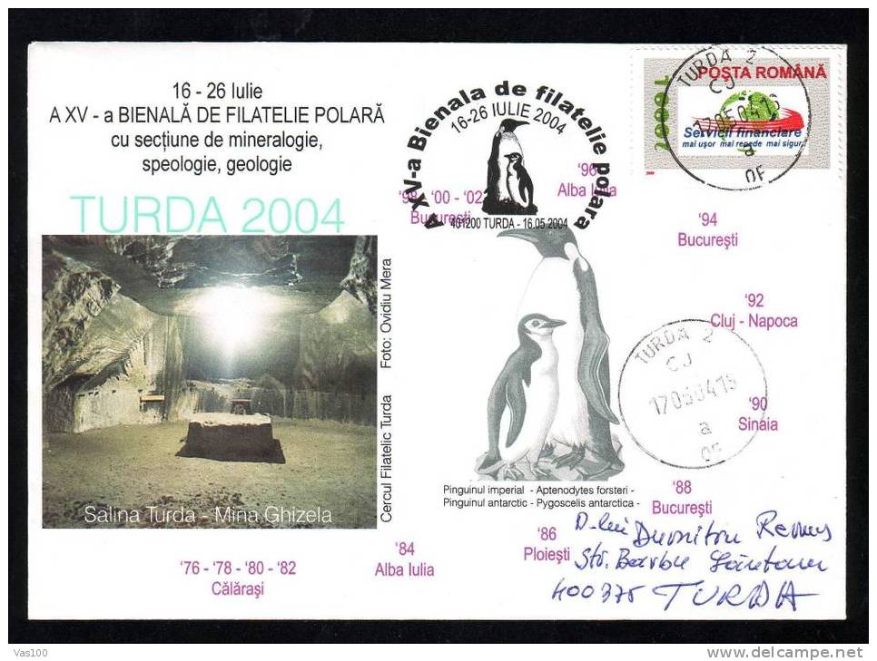 Penguin PMK 2004 Pingouin  COVER  SALT MINE TURDA ROMANIA. - Pingouins & Manchots
