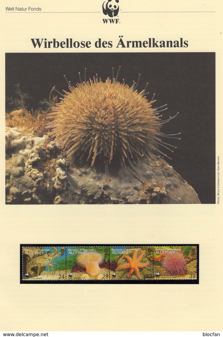 WWF-Serie 148 Alderney 61/4ZD ** 7€ Meeres-Fauna See-Igel Krebs Naturschutz Dokumentation 1990 Set Bf Great Britain - Alderney