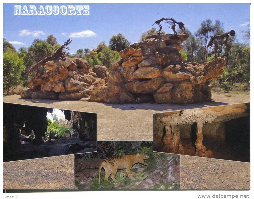 UNESCO World Heritage - Site UNESCO - South Australia - Naracoorte Fossil Site - Thyacine - Sonstige & Ohne Zuordnung