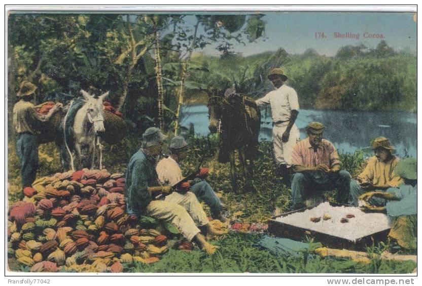 C. AMERICA - COSTA RICO - WORKERS SHELLING COCOA BEANS - OVERSEER & HORSE - Costa Rica