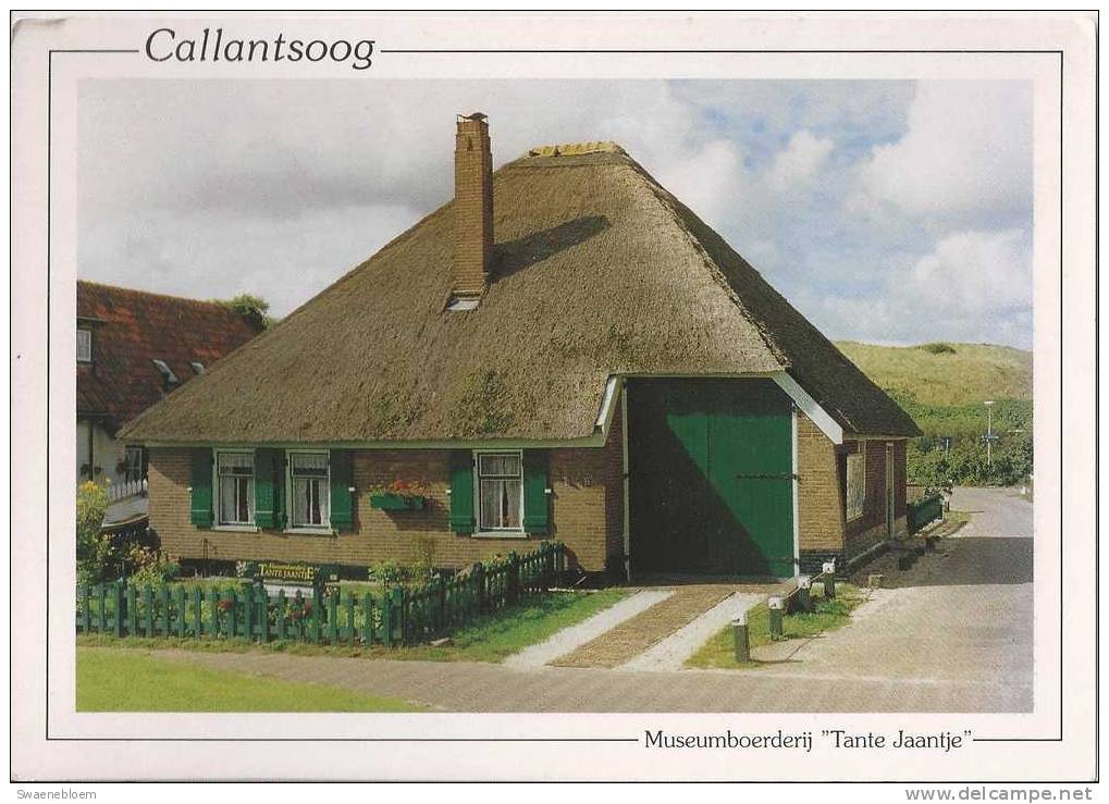 NL.- Callantsoog, Museumboerderij 'Tante Jaantje" - Foto - 2 Scans - Sonstige & Ohne Zuordnung