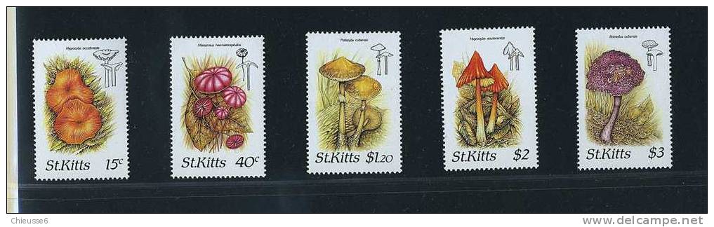 St Kitts ** N° 641 à 645 - Champignons (3 P30) - St.Kitts Und Nevis ( 1983-...)