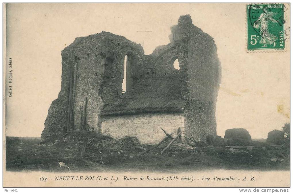 NEUVY-LE-ROI  - Ruines De Beauvais - Vue D'ensemble - Neuvy-le-Roi