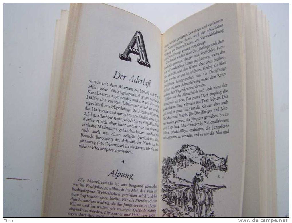 Glück Im Sattel Oder Reiter Brevier G.Schreiber-Pferd Kavalier Amazone  Reiterspiele Relié Illustrations - Animals