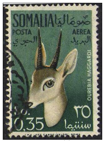 SOMALIA 1955	 35c Haggard Oribi (Antelope) Used - Somalie (AFIS)