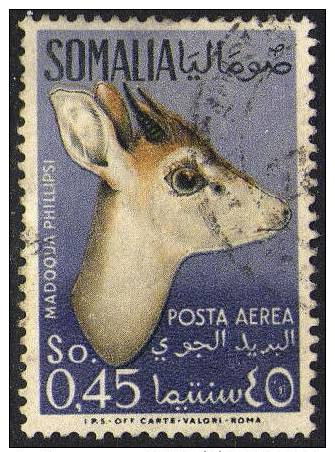 SOMALIA 1955	 45c Salt´s Dik-dik (Antelope) Used - Somalia (AFIS)