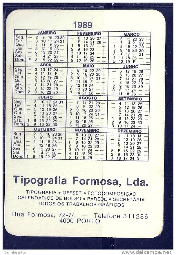 1989 Pocket Poche Bolsillo Calender Calandrier Calendario  Signos Signes Zodiac Signs - Grossformat : 1981-90