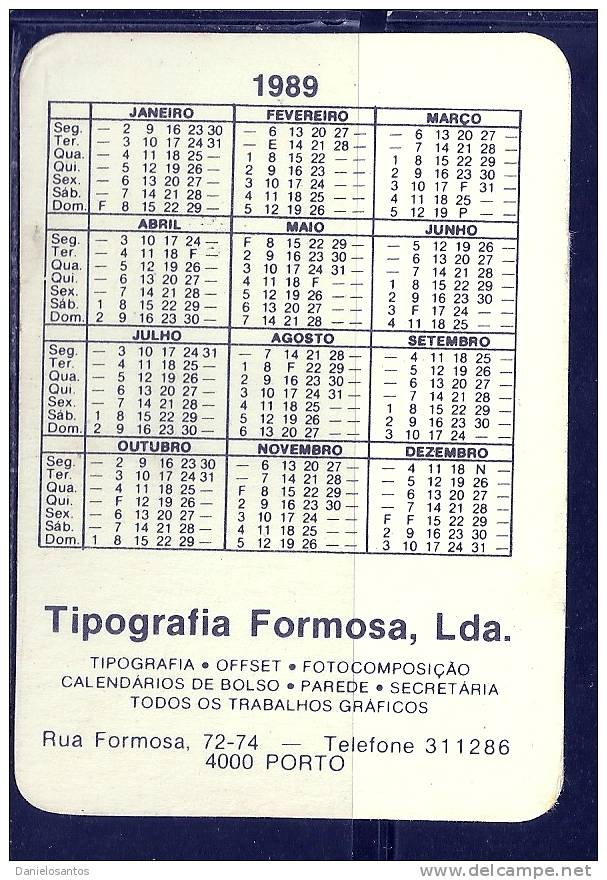 1989 Pocket Poche Bolsillo Calender Calandrier Calendario  Signos Signes Zodiac Signs - Big : 1981-90