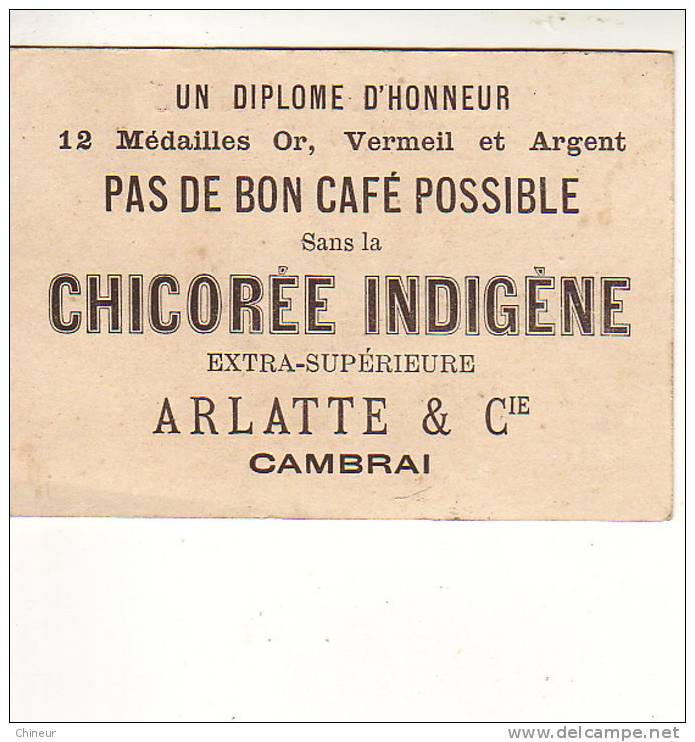 CHICOREE INDIGENE BLEU ARGENT ARLATTE ET COMPAGNIE A CAMBRAI - Tè & Caffè