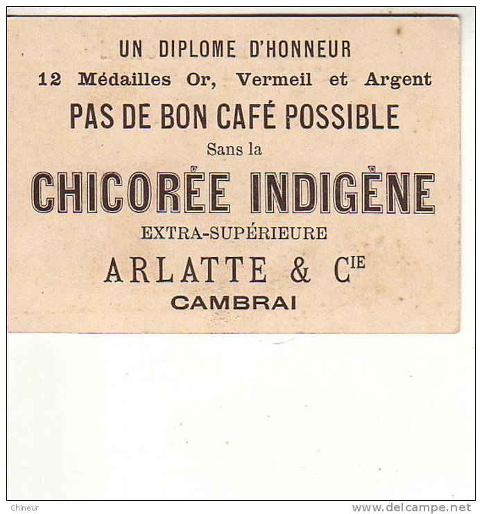 CHICOREE  INDIGENE BLEU ARGENT ARLATTE ET COMPAGNIE A CAMBRAI - Tè & Caffè