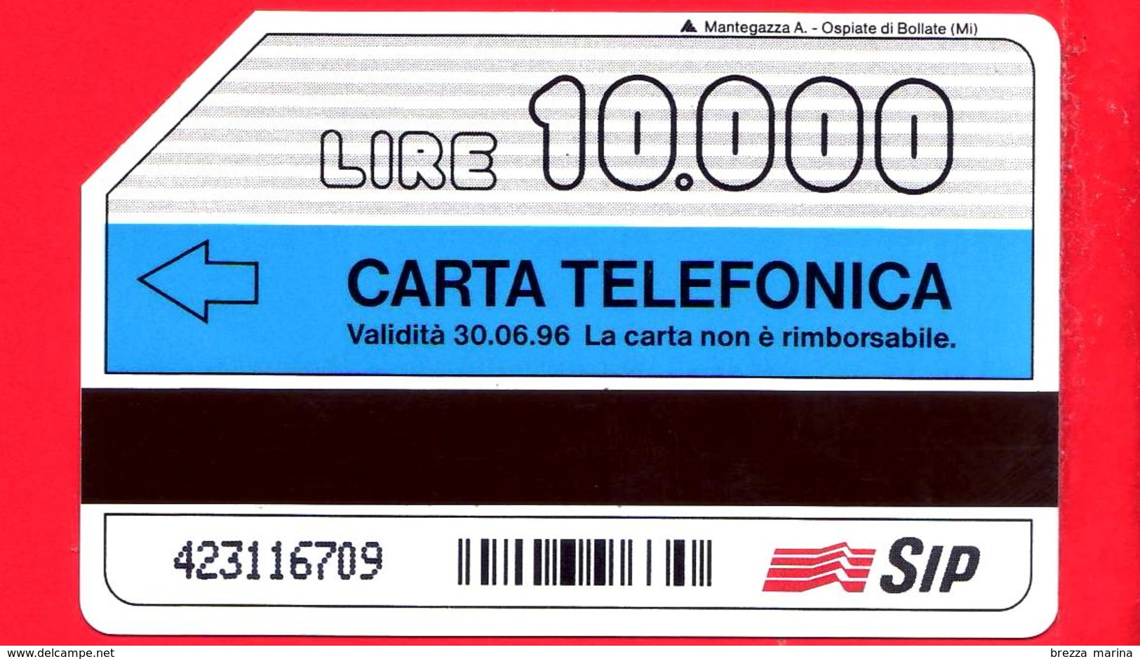 ITALIA - Scheda Telefonica - Usata - SIP - Summit 1994 - Napoli - C&C 2376 - Golden 348 - Publiques Figurées Ordinaires