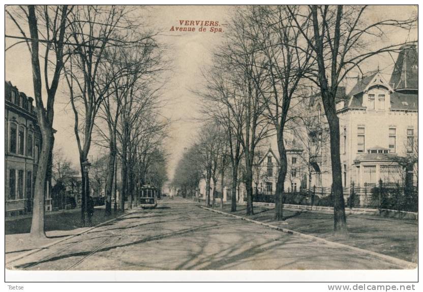 Verviers - Avenue De Spa - TRAM -1910 - Verviers