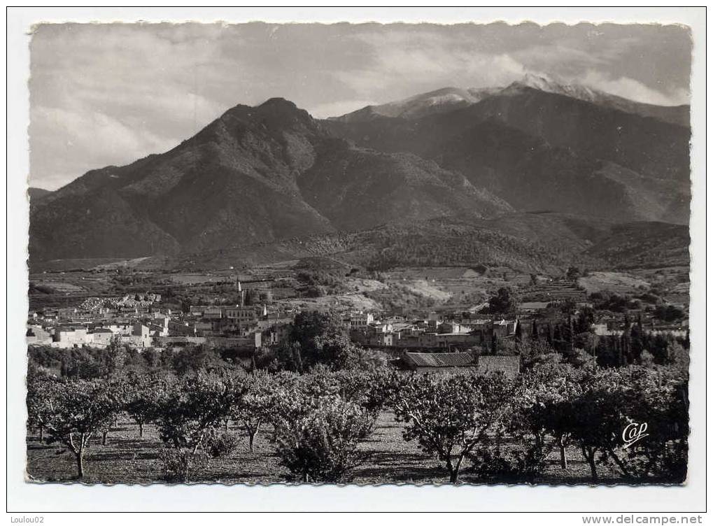 66 - PRADES - Vue Generale - Bord Dentele - Très Bon état - Prades