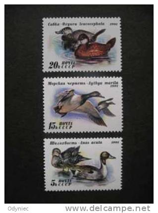 USSR Ducks 1991 MNH - Canards