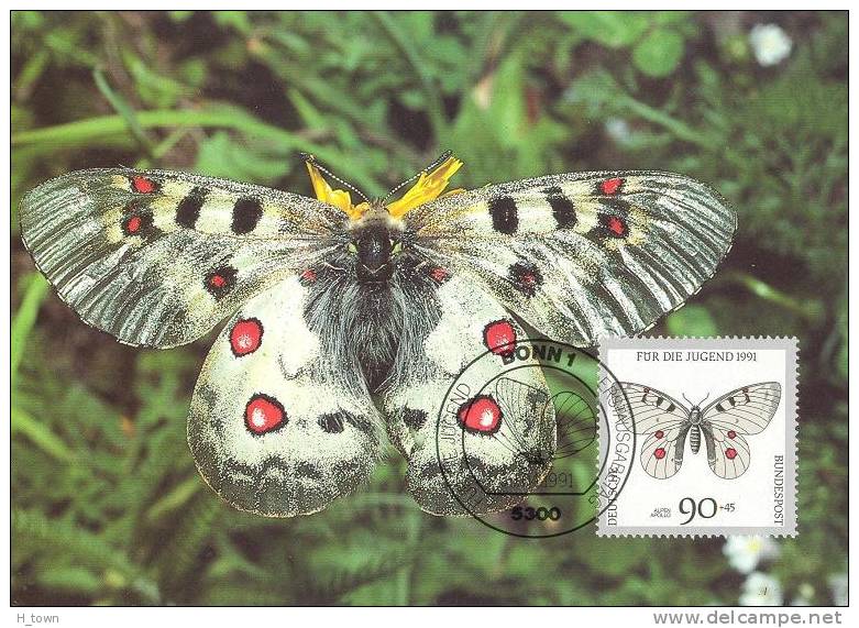 Apollon (Parnassius Apollo): Carte Maximum 1er Jour Allemagne, 1991 – Mountain Apollo.  Butterfly Papillon - Butterflies